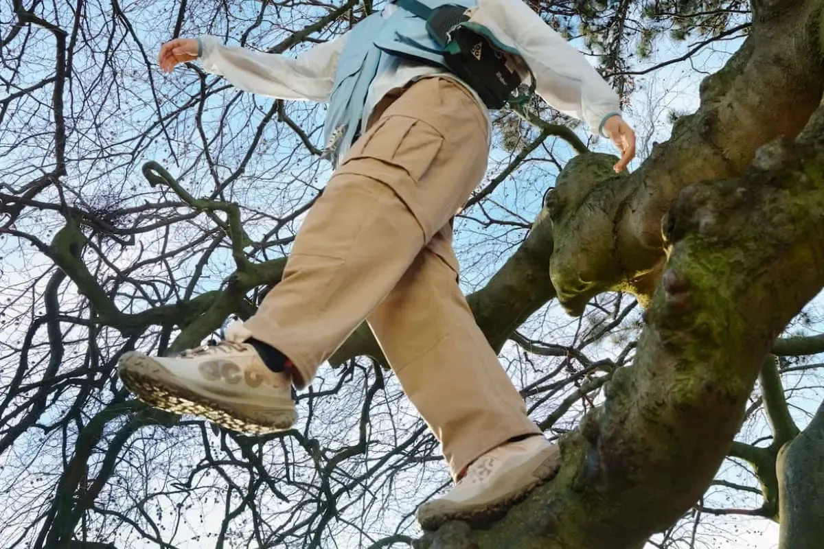 pessoa em cima de uma árvore fazendo uma trilha