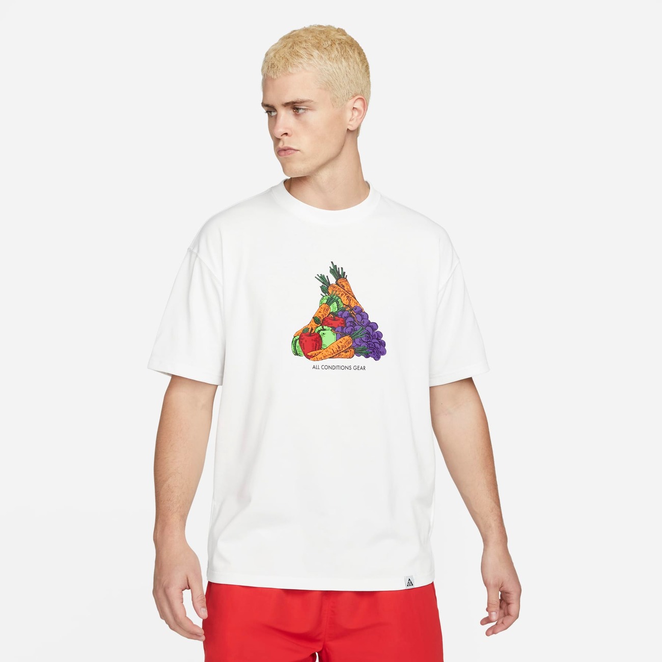 Camiseta Nike ACG "Fruit and Veggies" Masculina - Foto 1