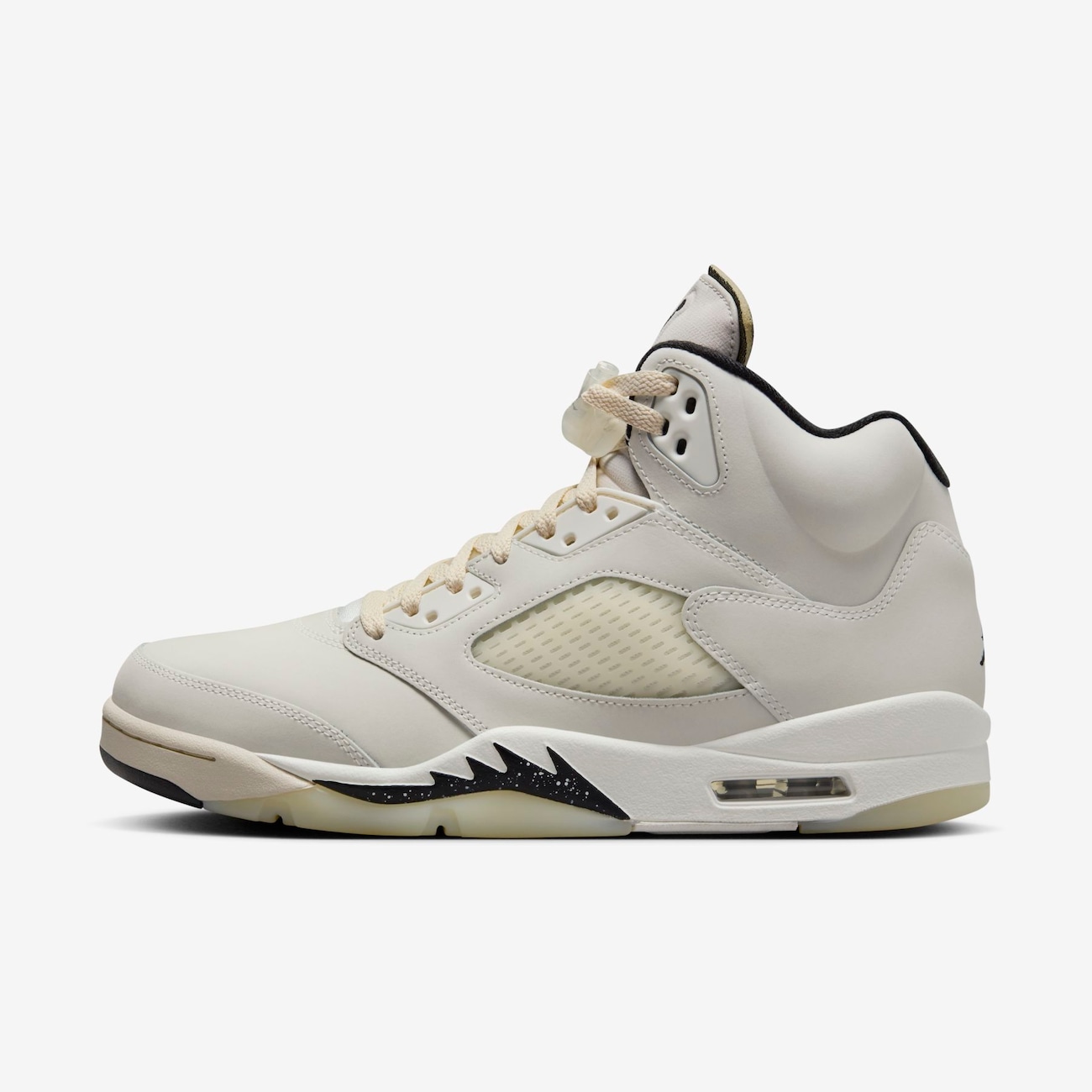 Air Jordan 5 SE