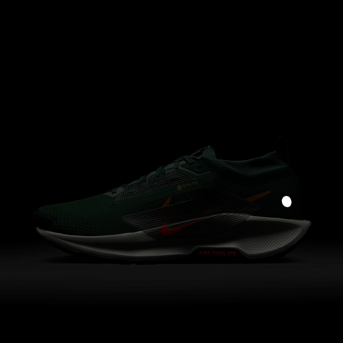 Tênis Nike Pegasus Trail 5 GORE-TEX Masculino - Nike