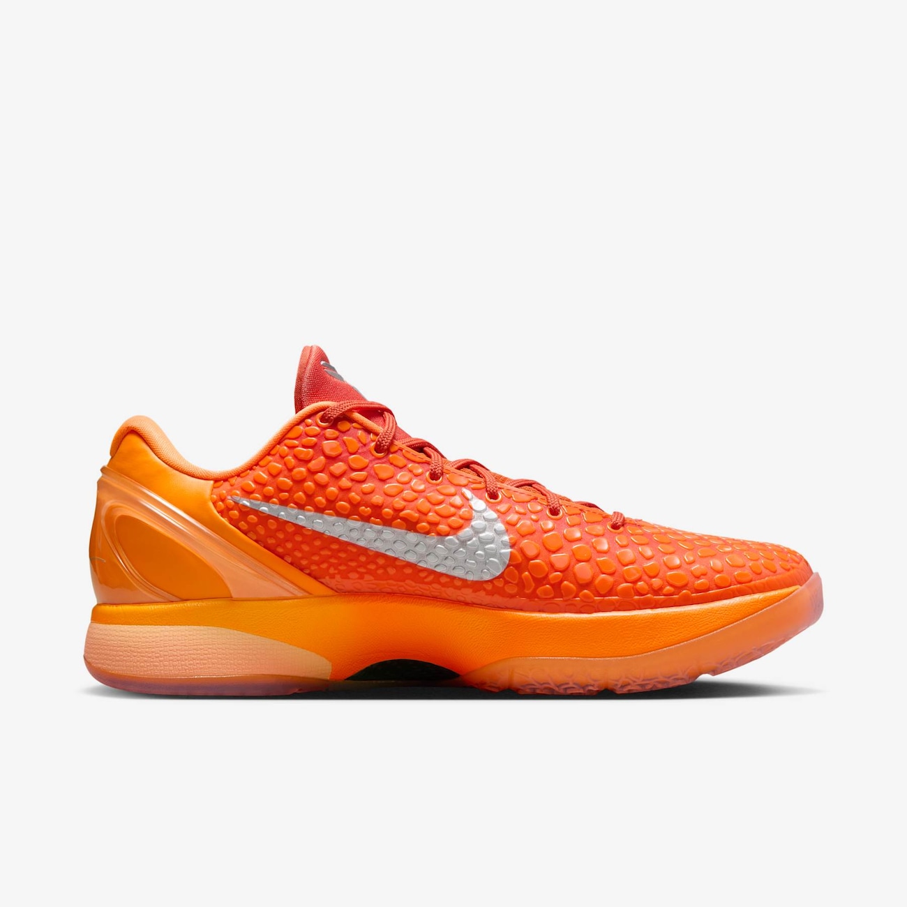 Kobe 6 Protro - Nike