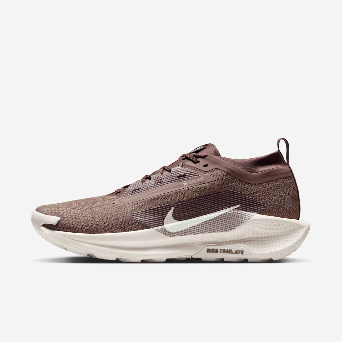 Pegasus Trail 5 GORE-TEX - Nike