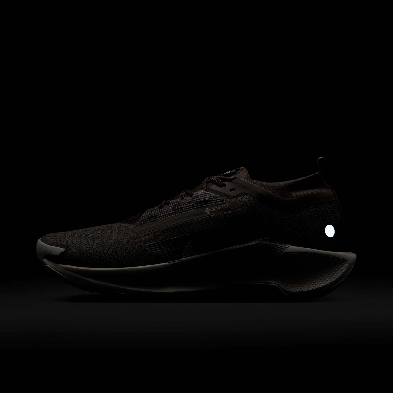 Pegasus Trail 5 GORE-TEX - Nike