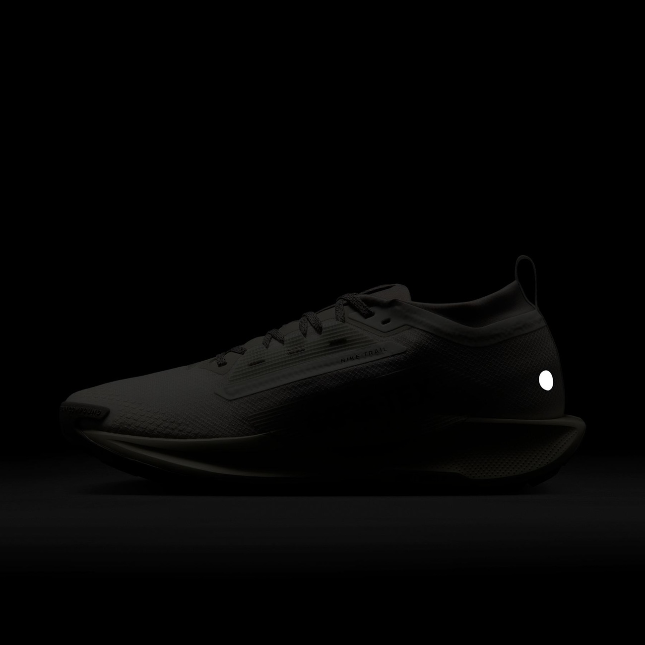 Pegasus Trail 5 GORE-TEX - Nike