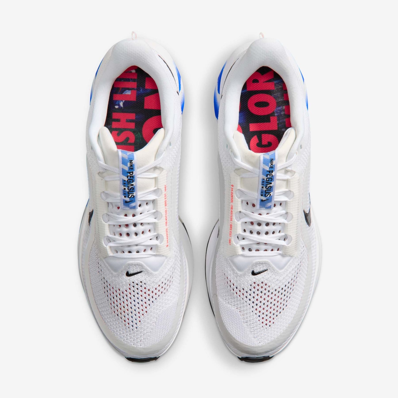 Tênis Nike Pegasus Premium Masculino - Nike
