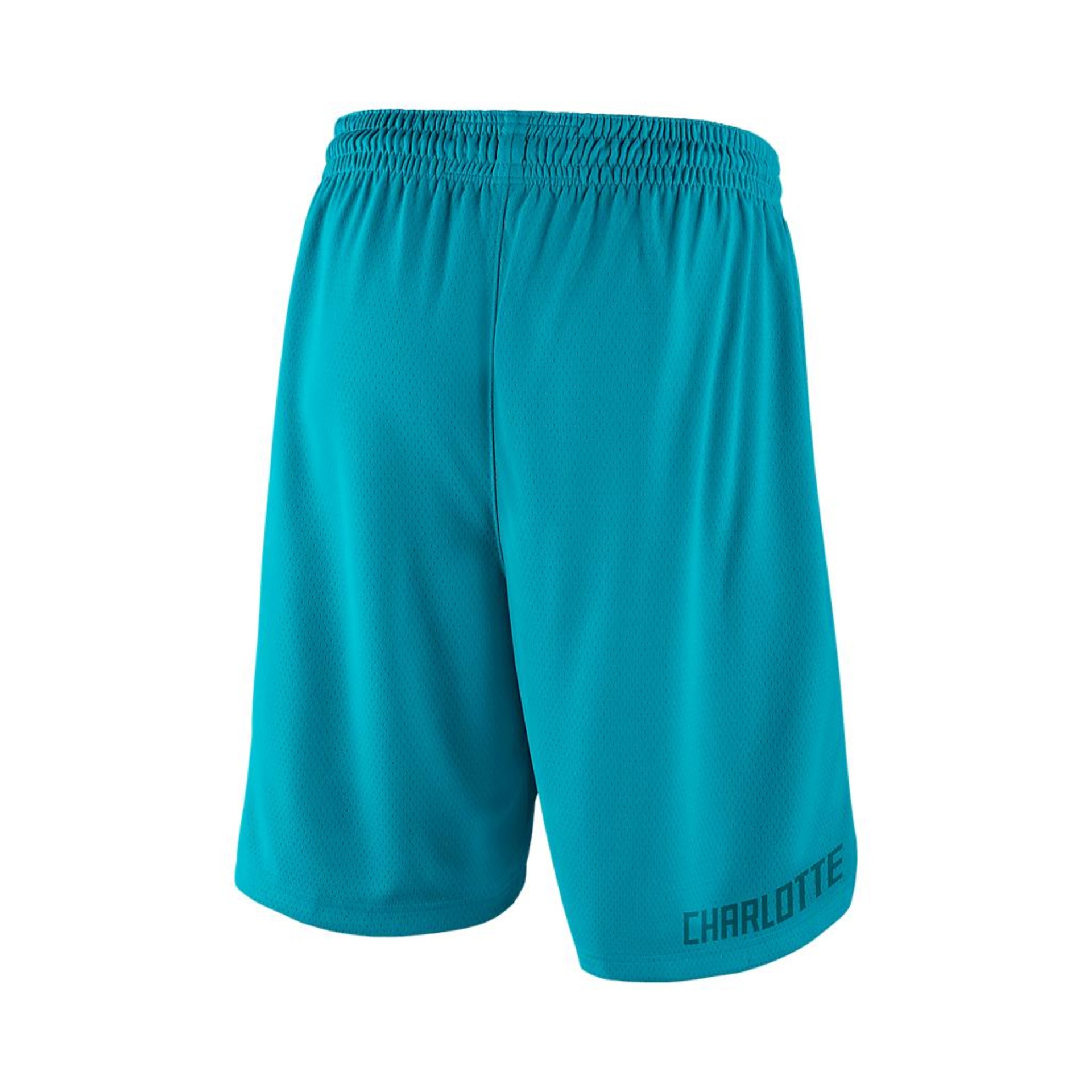 Shorts Jordan Charlotte Hornets Icon Edition Swingman Masculino - Foto 2