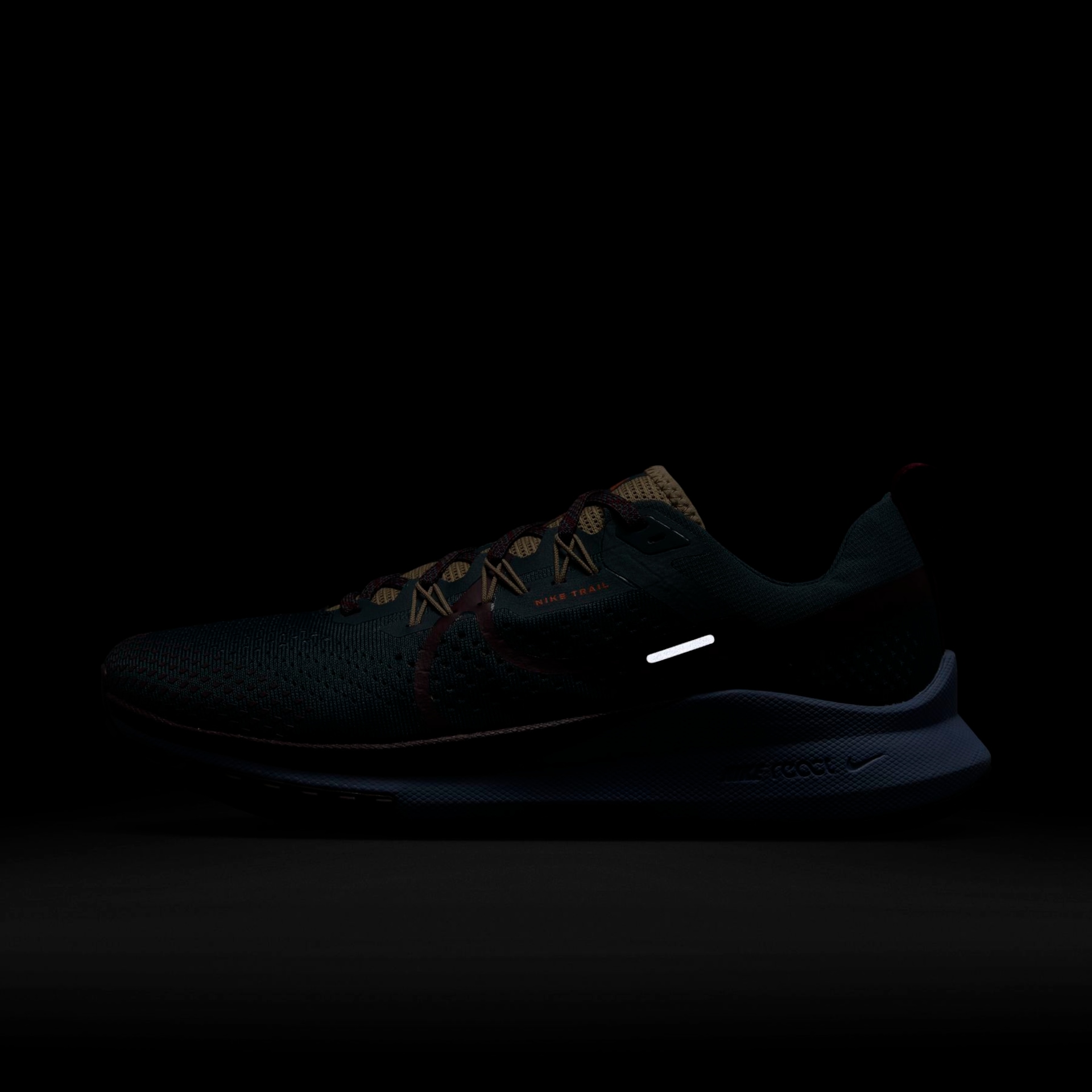 Tênis Nike Pegasus Trail 4 Masculino - Foto 9