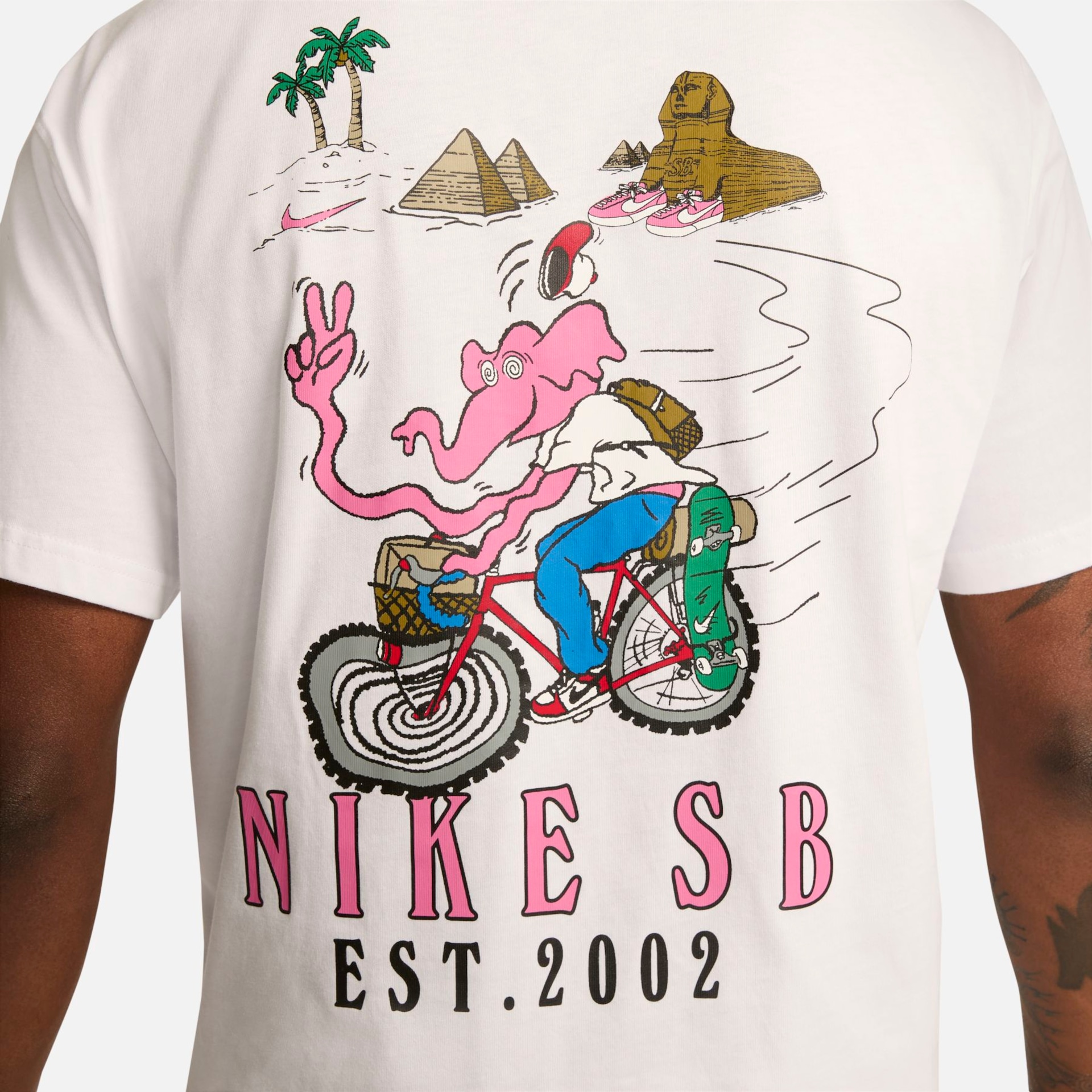 Camiseta Nike SB Bike Day Masculina - Foto 5