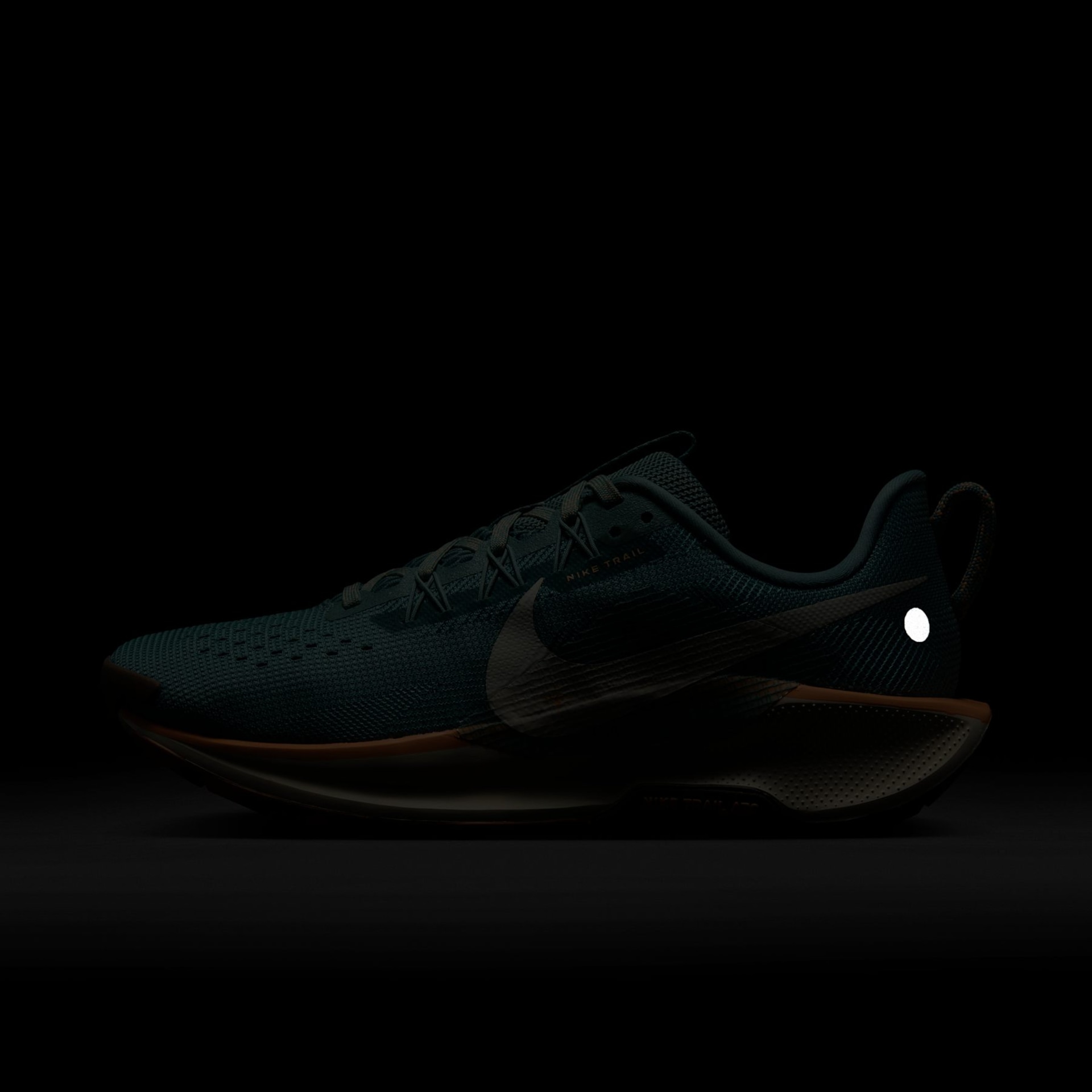 Tênis Nike Pegasus Trail 5 Feminino - Foto 10