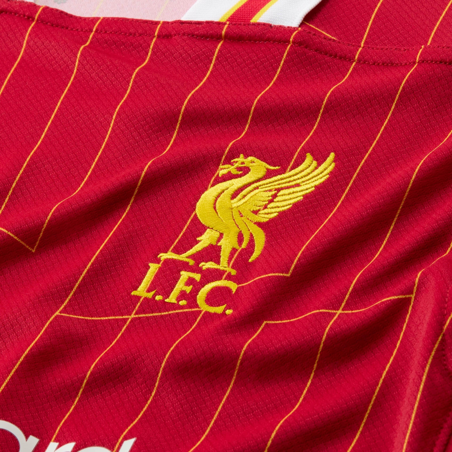 Camisa Nike Liverpool I 2024/25 Torcedor Pro Masculina - Foto 10