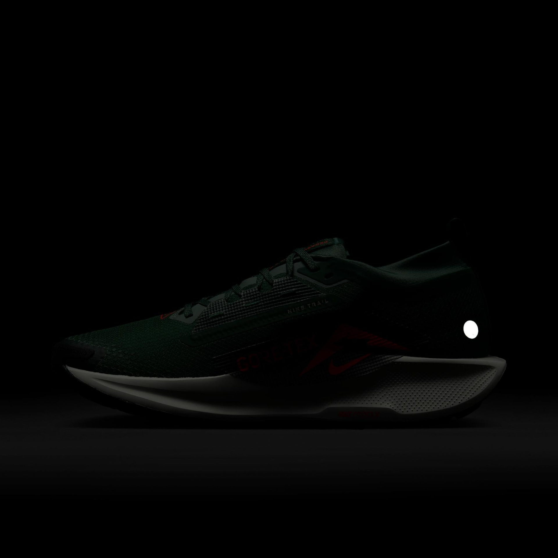 Tênis Nike Pegasus Trail 5 GORE-TEX Masculino - Foto 12