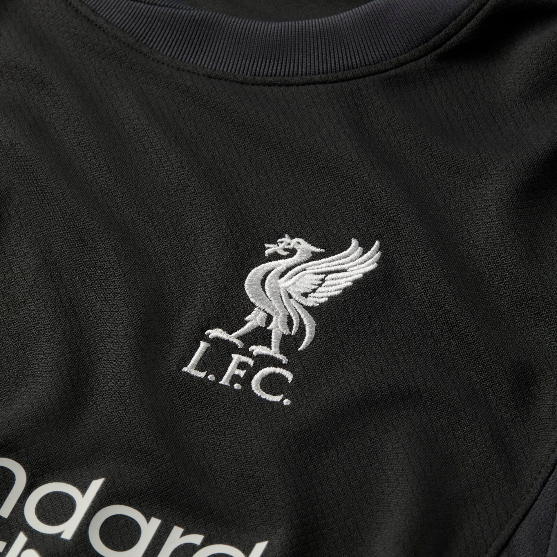 Camisa Nike Liverpool II 2024/25 Torcedor Pro Infantil - Foto 9