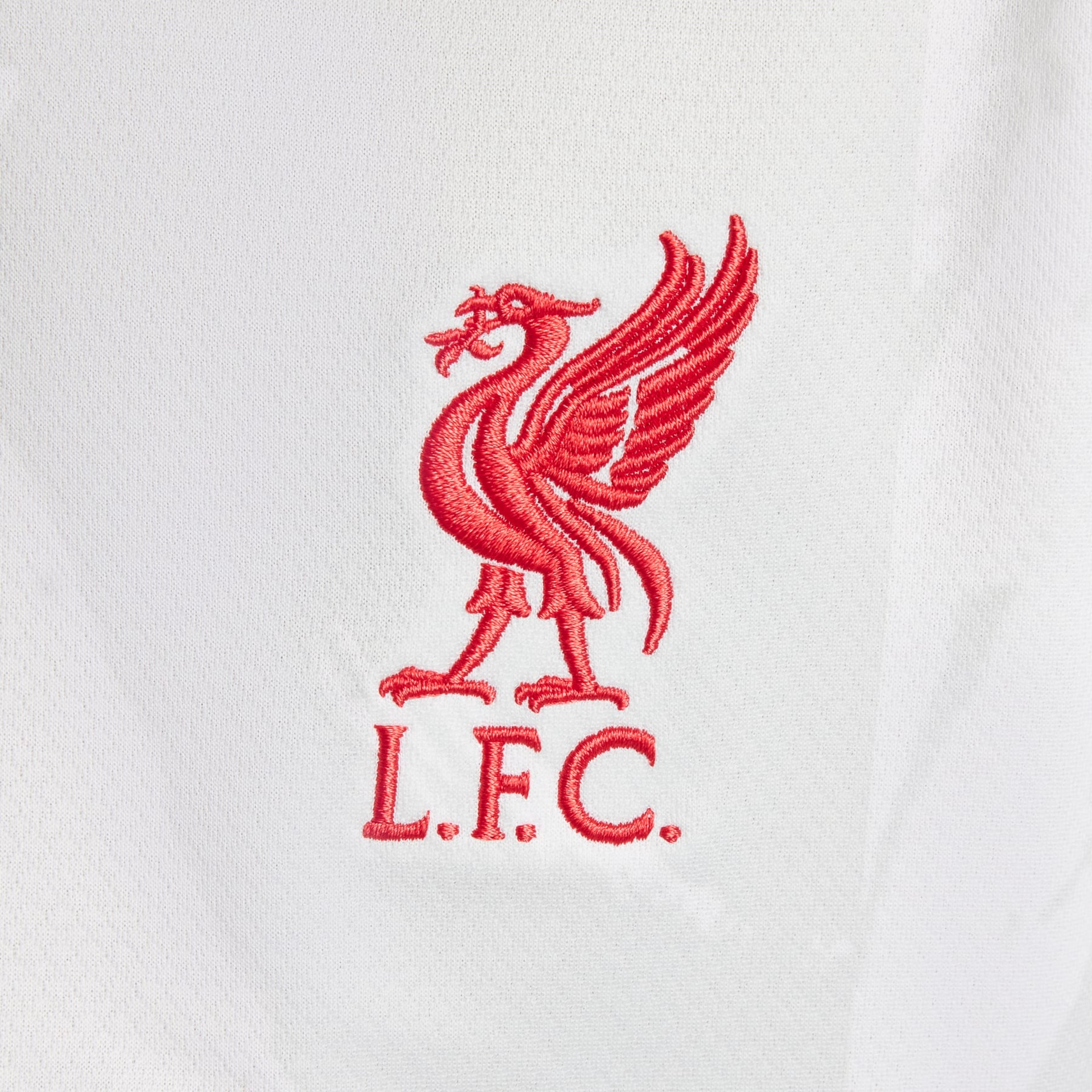 Camisa Nike Liverpool I 2024/25 Torcedor Pro Infantil - Foto 4