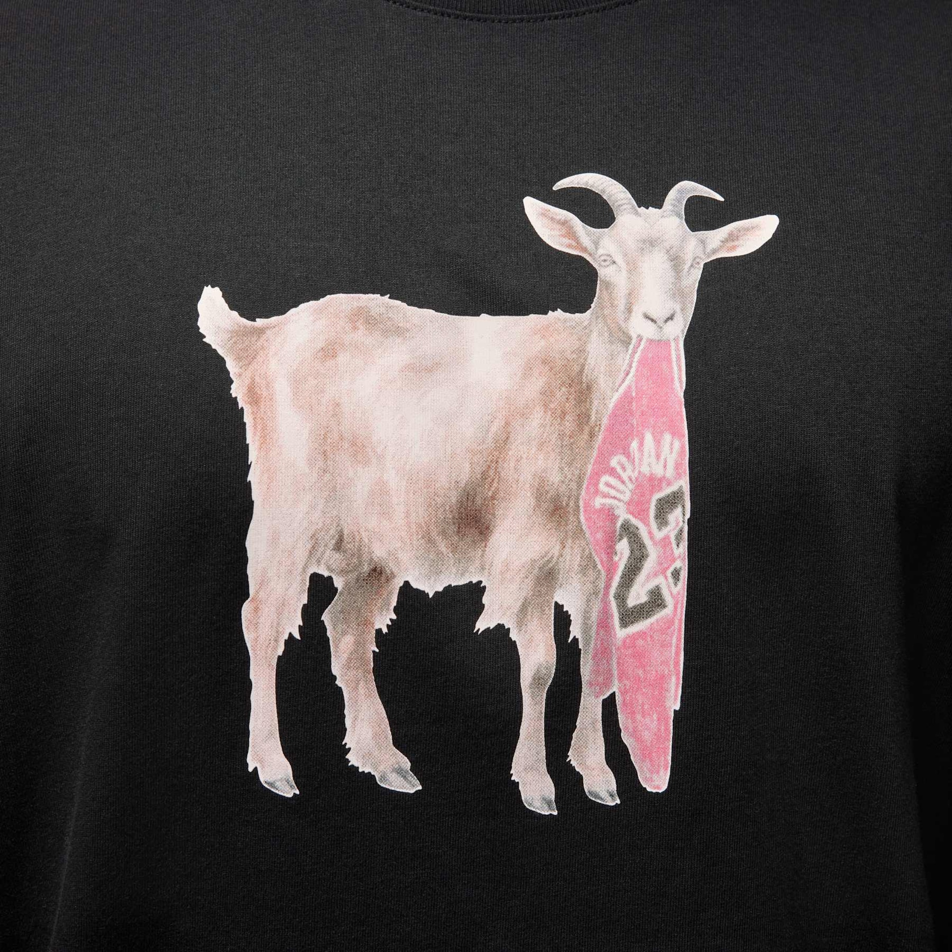 Camiseta Jordan GOAT Masculina - Foto 4
