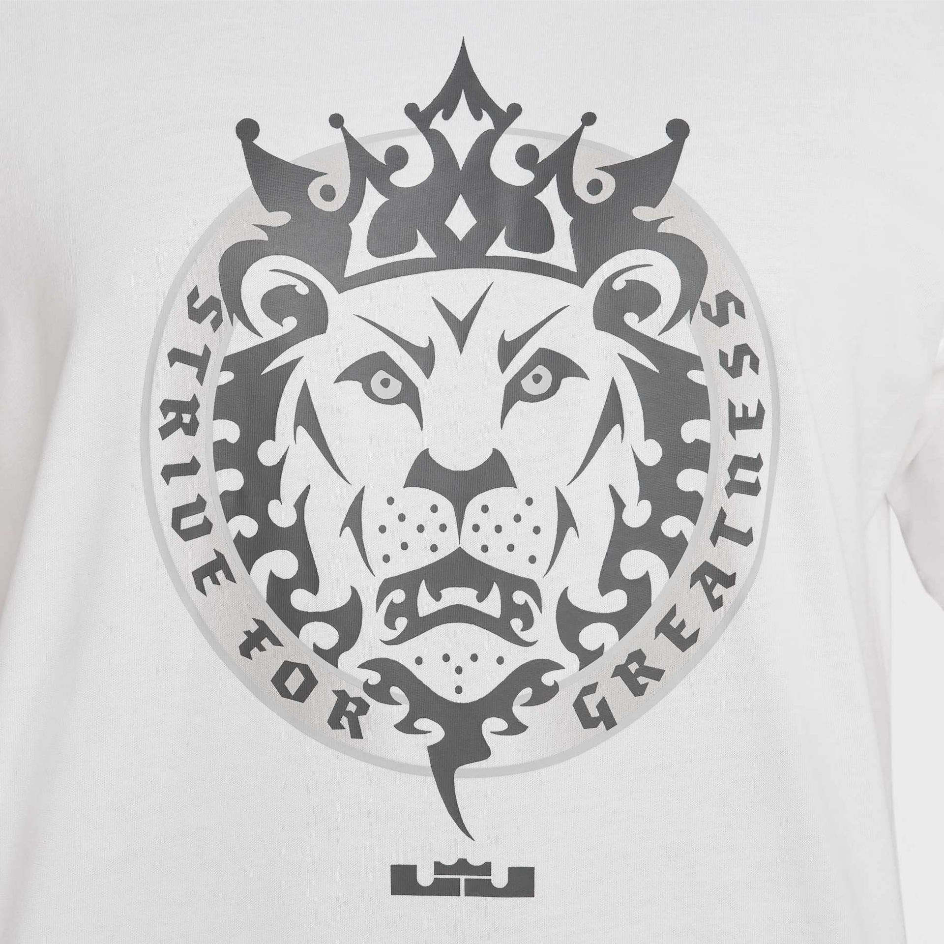 Camiseta Nike LeBron M90 Masculina - Foto 9