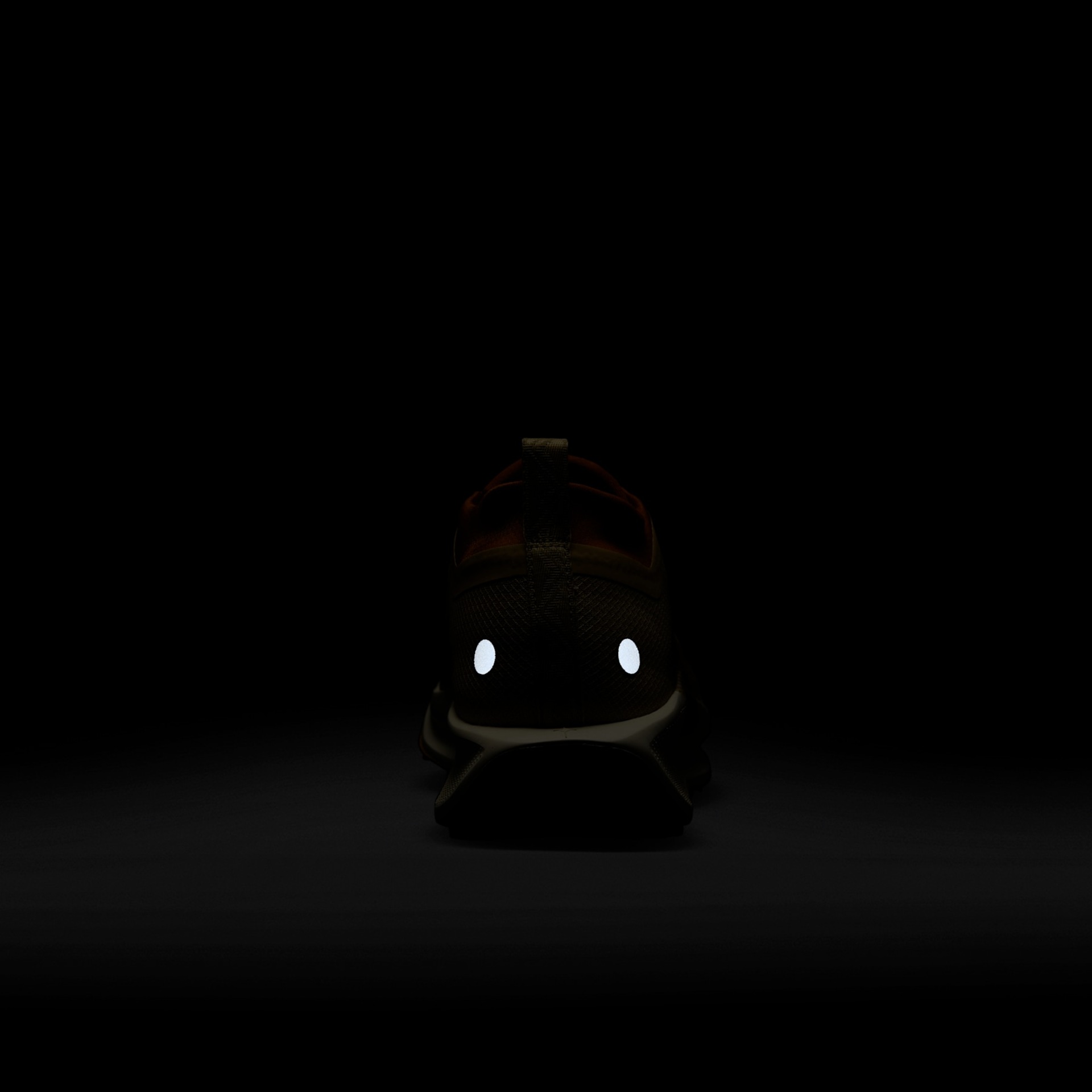 Pegasus Trail 5 GORE-TEX - Foto 9