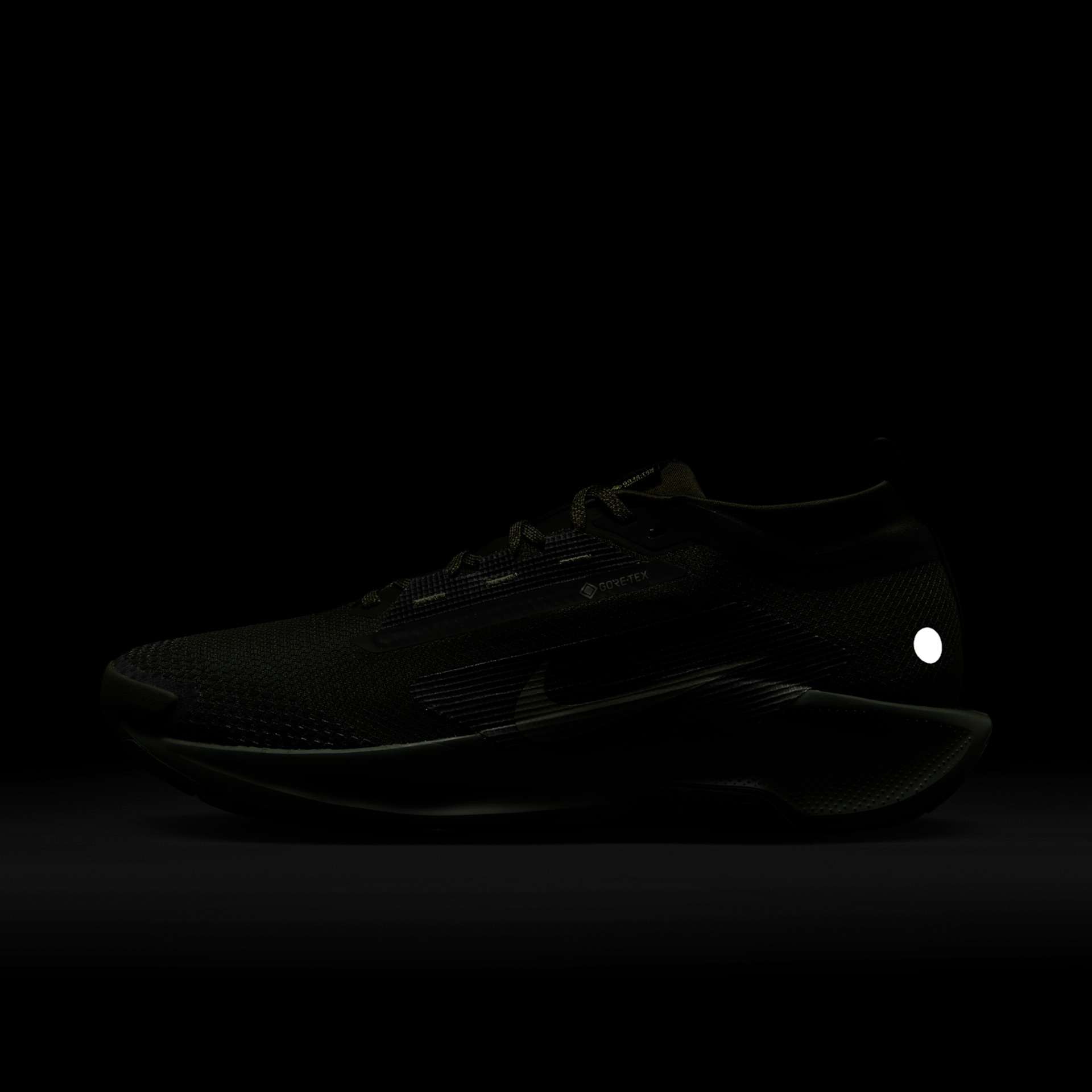 Pegasus Trail 5 GORE-TEX - Foto 10