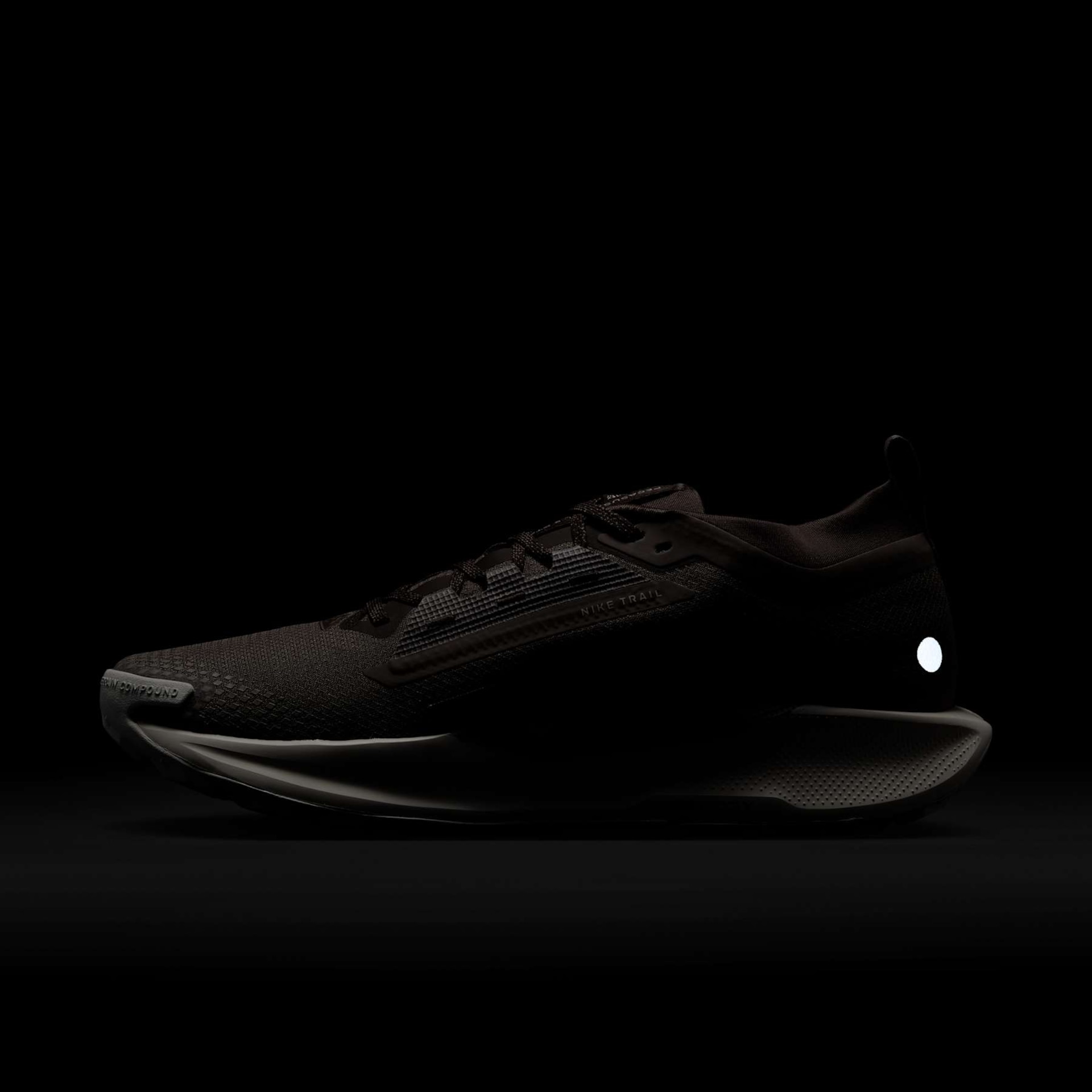 Pegasus Trail 5 GORE-TEX - Foto 11