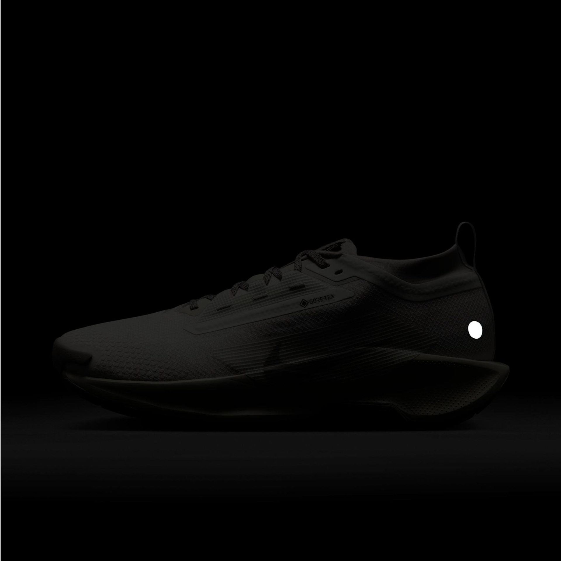 Pegasus Trail 5 GORE-TEX - Foto 10