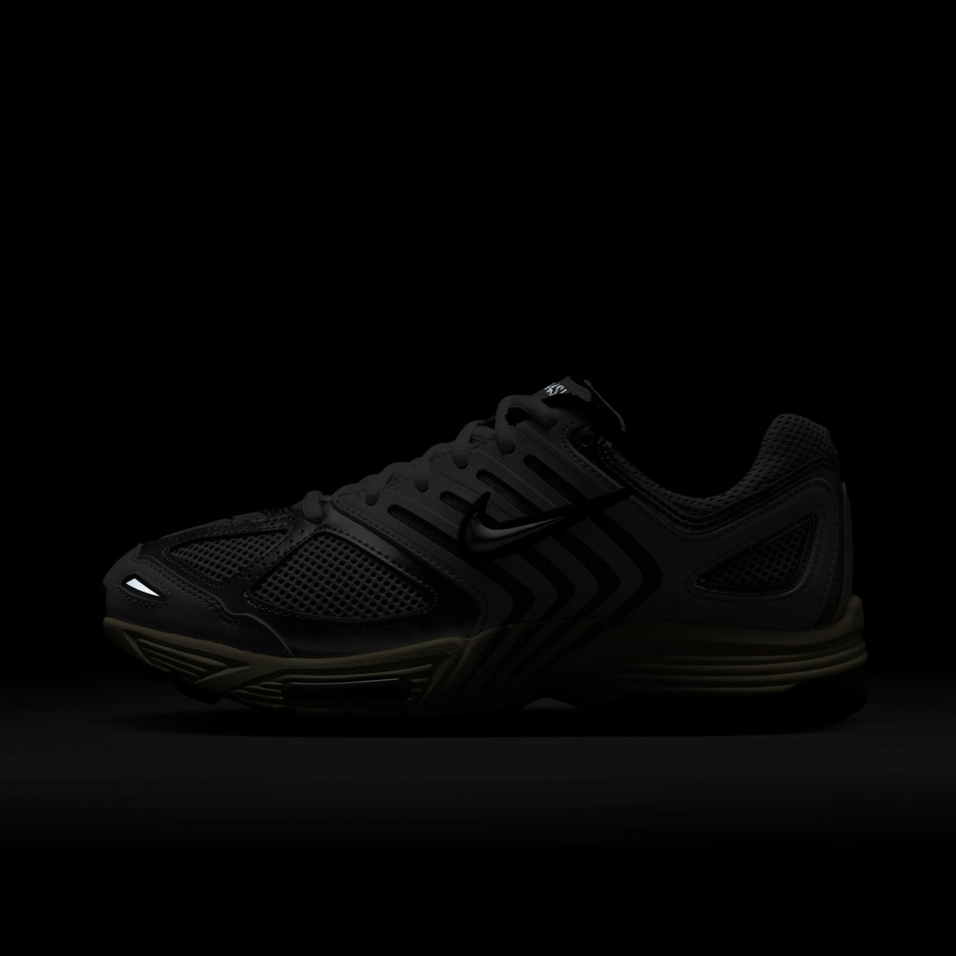 Women's Air Pegasus 2005 - Foto 11