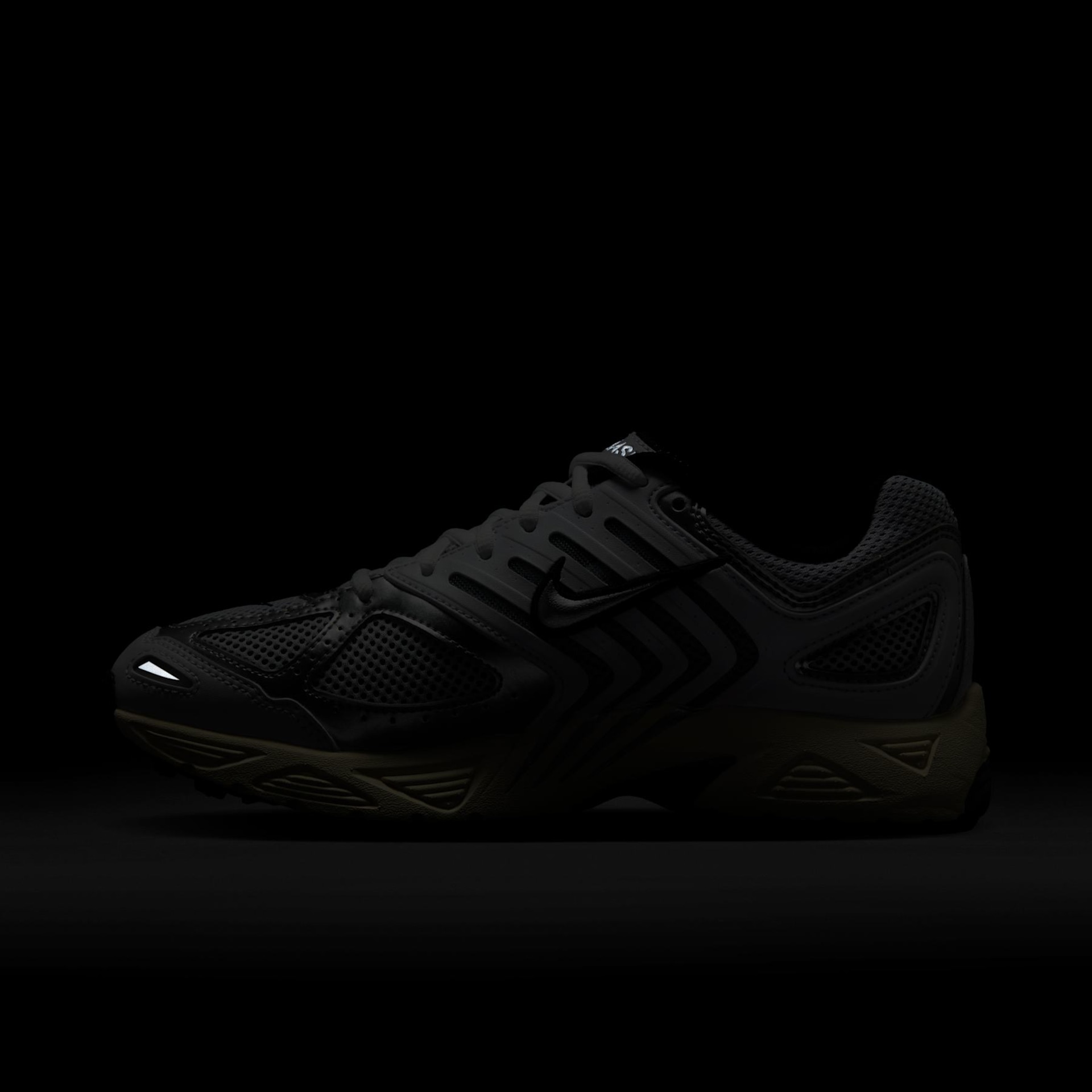 Women's Air Pegasus 2005 - Foto 12