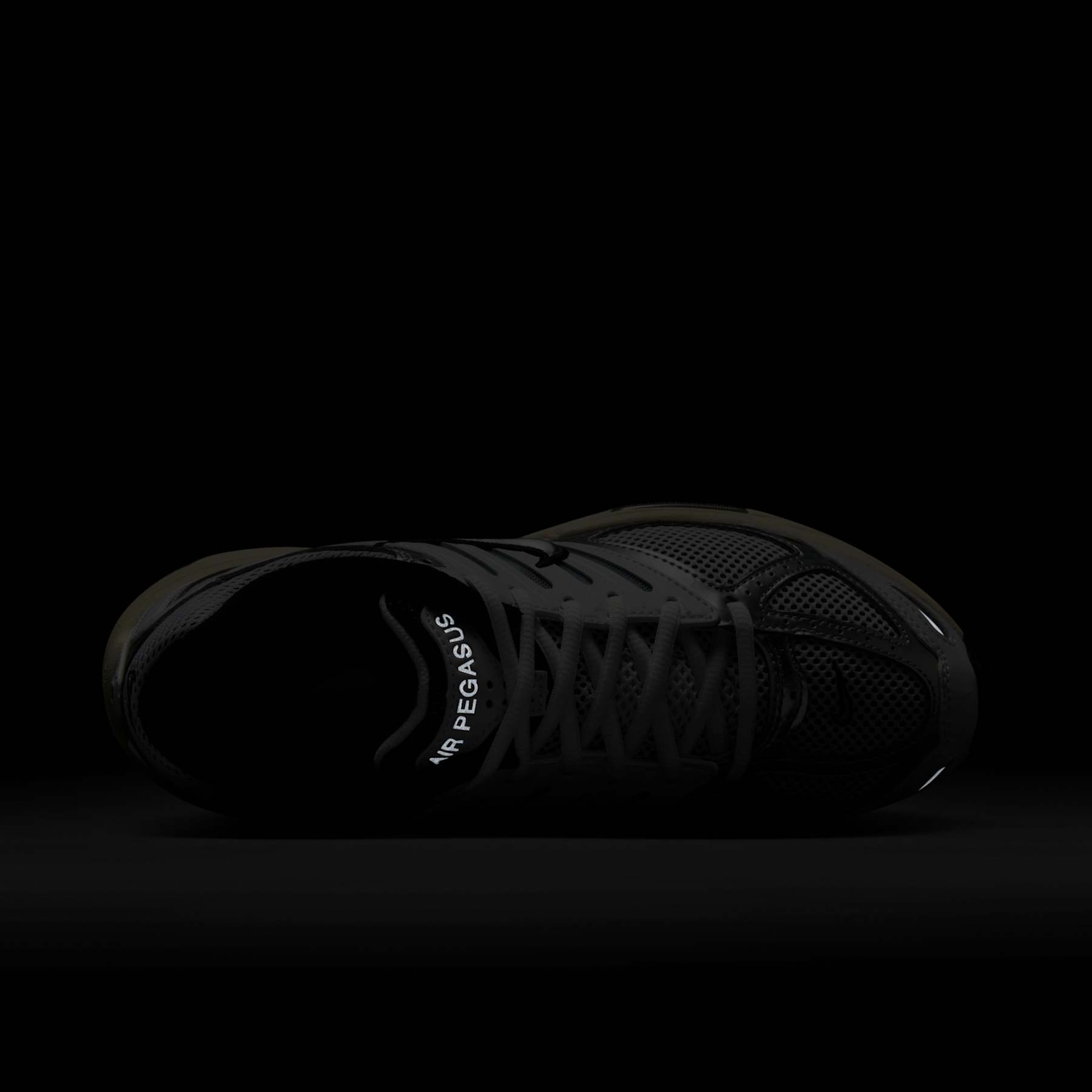 Women's Air Pegasus 2005 - Foto 9