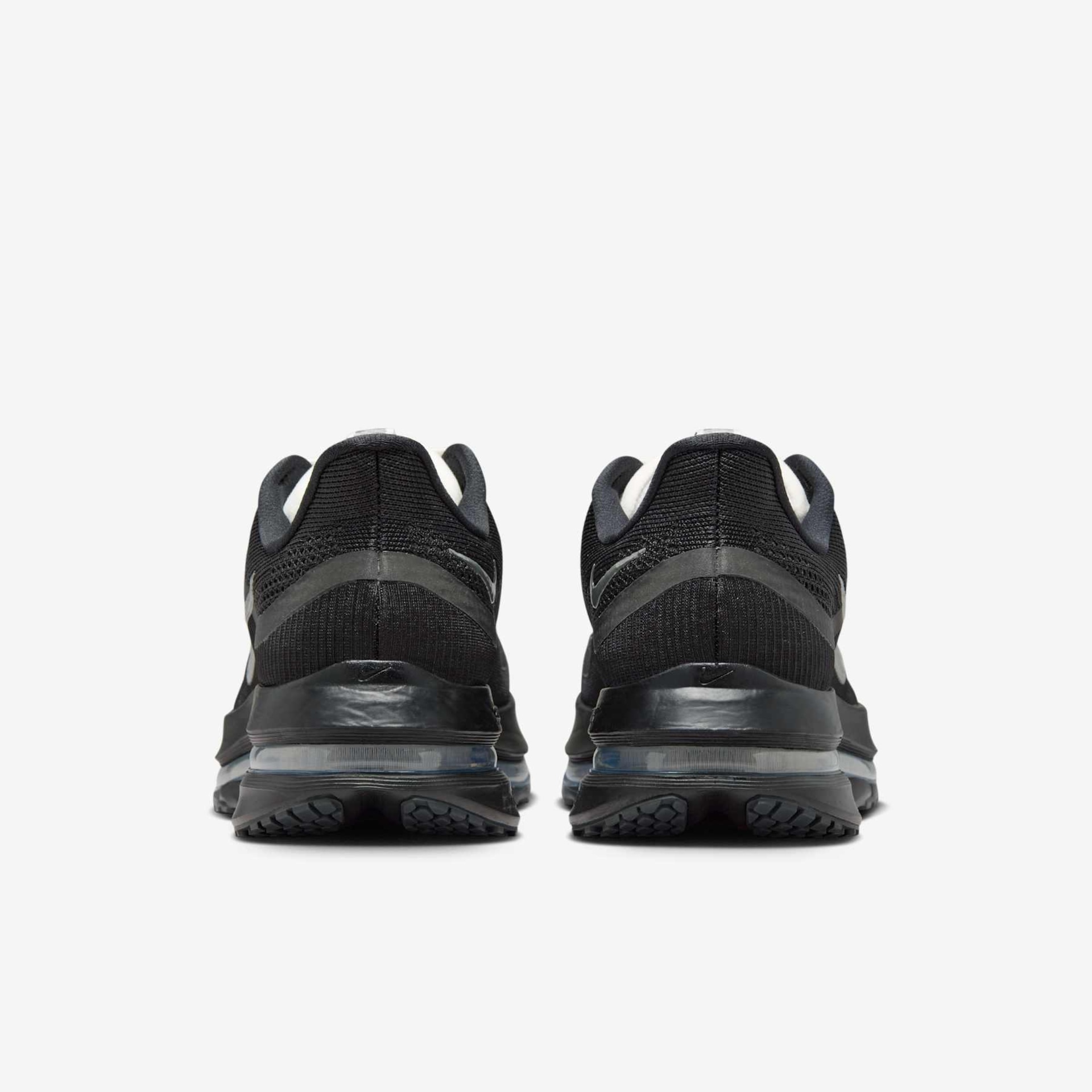 Pegasus Premium - Foto 6