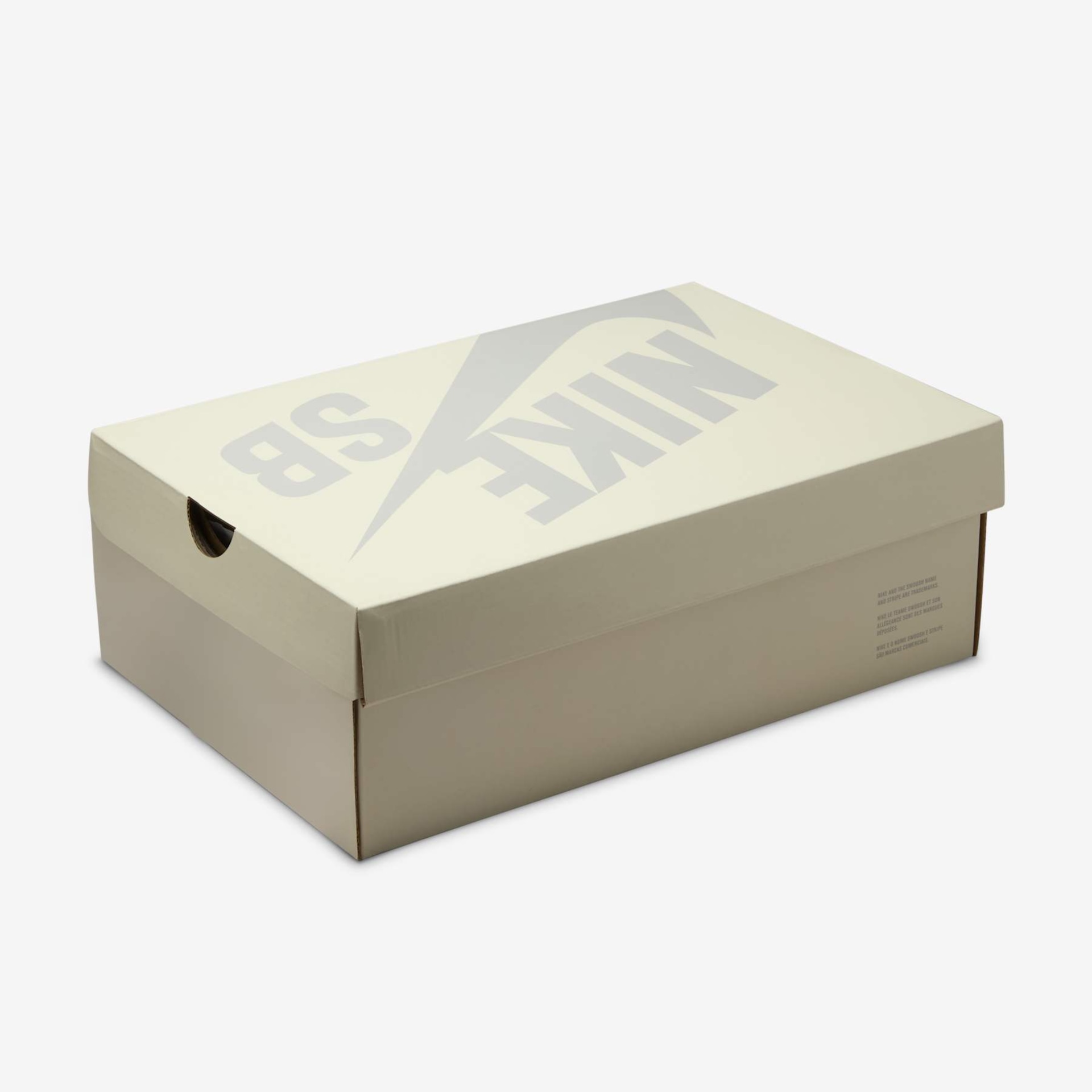  Nike SB Air Trainer 1 x Arts-Rec Skateshop - Foto 11