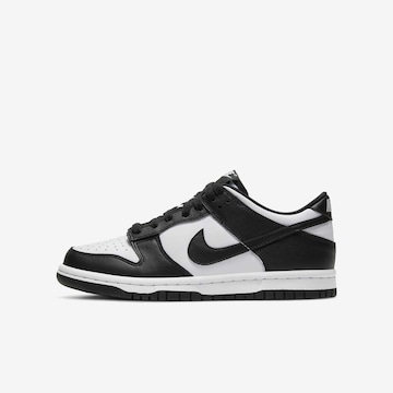 Nike Dunk Ofertas especiais