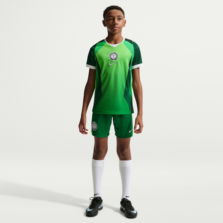 Camisa Nigéria Nike I 2026/27 Torcedor Pro Infantil - Foto 5