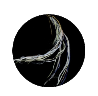 Sustainable Cotton Space Hippie