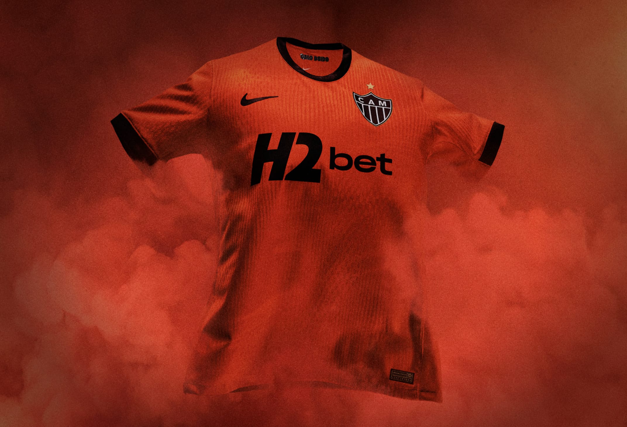 Camisa Inteira