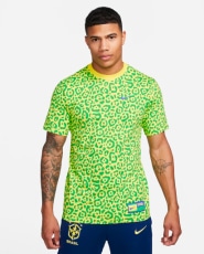 Camiseta Nike Brasil Ignite Masculina